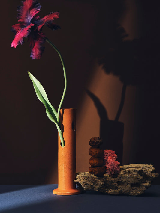 Pistachio Plum Tulip Bell