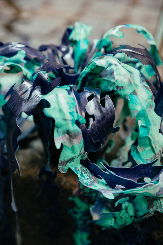 Hængende tangplante