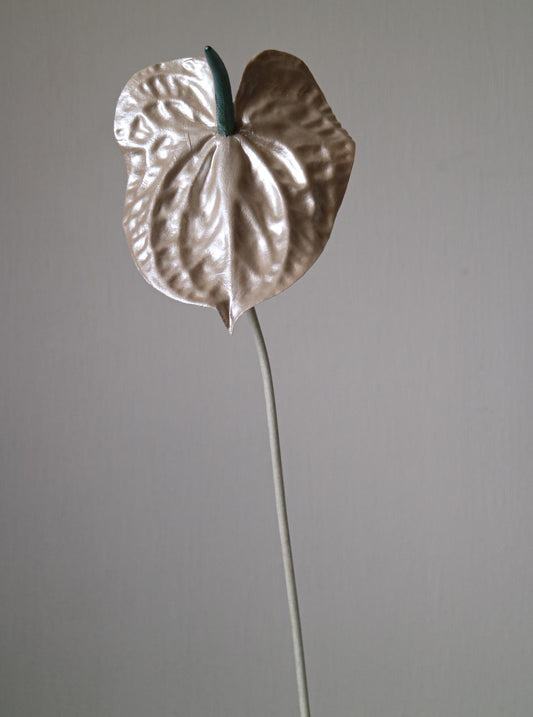 The Pearl Anna-thurium - Turquoise details