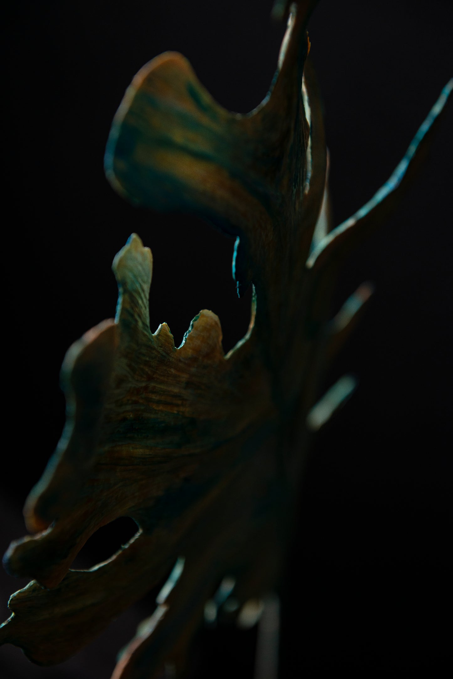 Green Lung Leaf