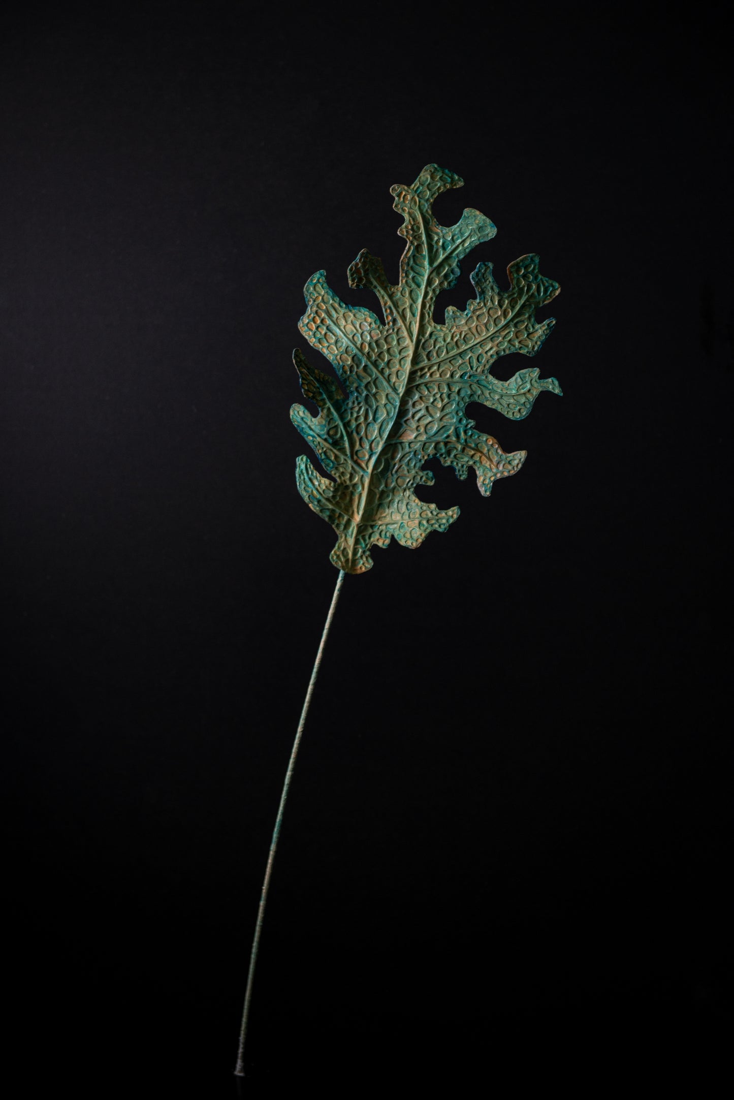 Green Lung Leaf