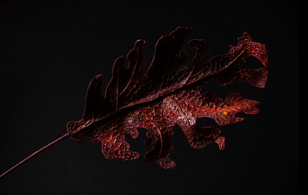 Red Lung Leaf