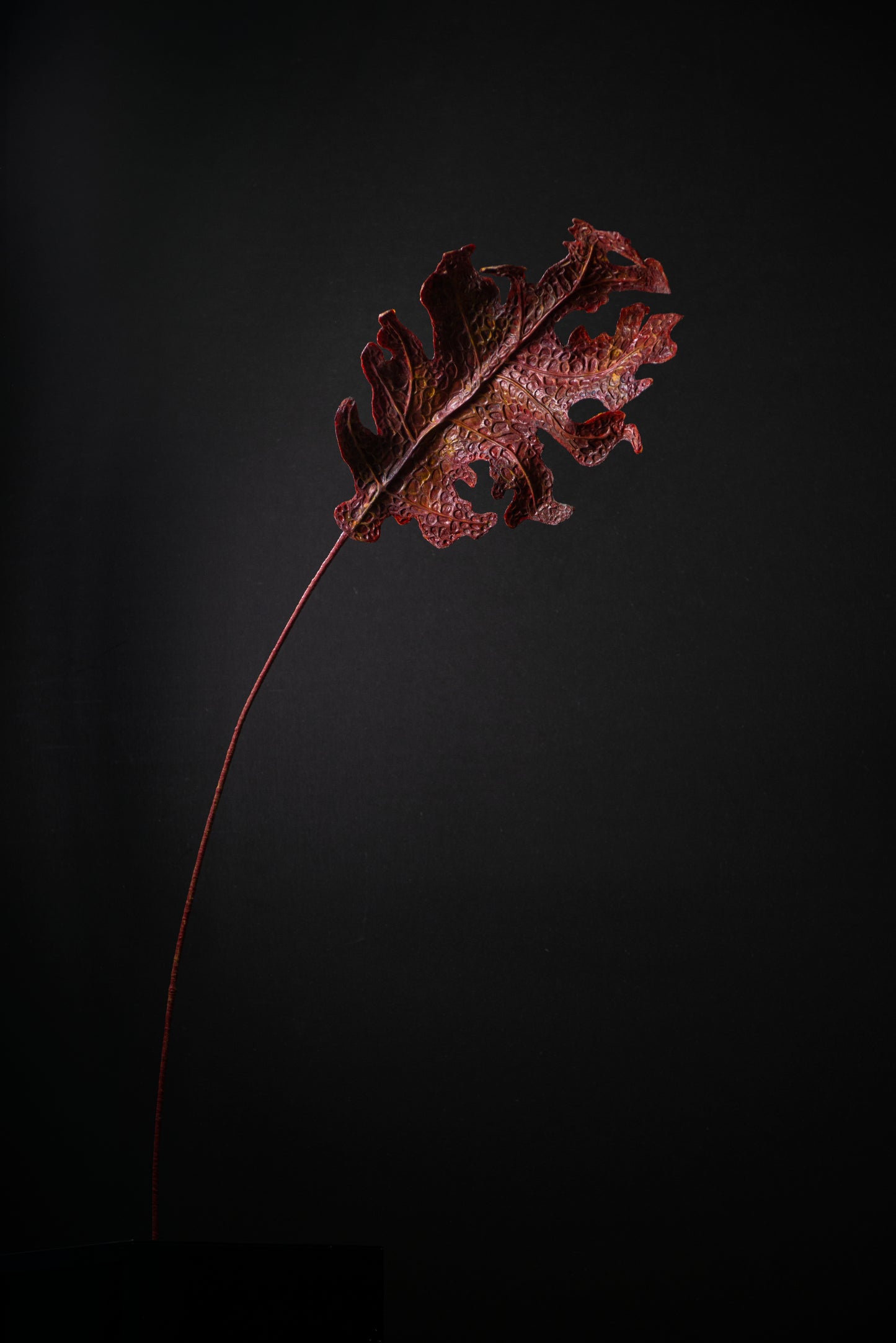 Red Lung Leaf
