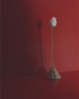 GRACE - Single Stem + APEX