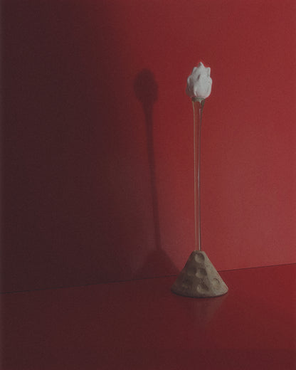 GRACE - Single Stem + APEX