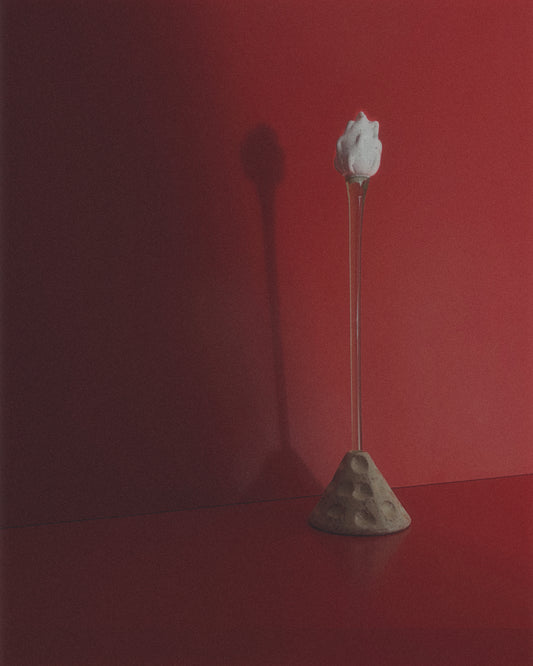 GRACE - Single Stem + APEX
