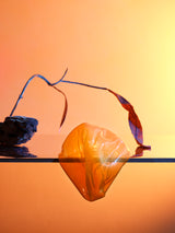 Glass Spora - Clementine