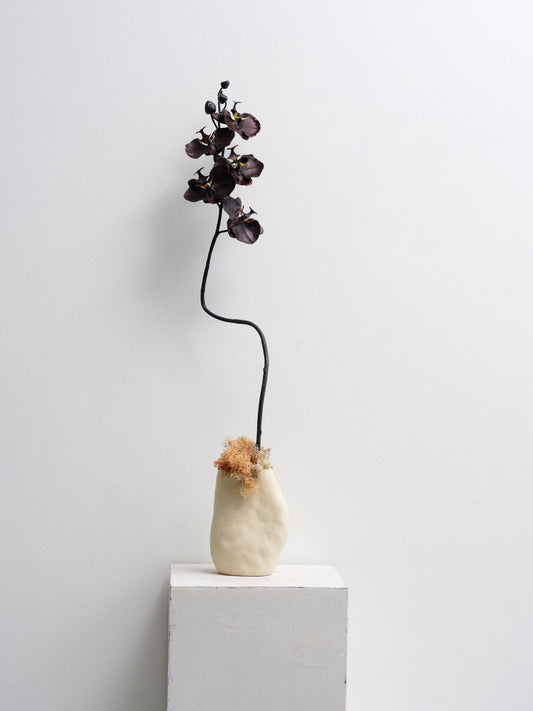 Black Orchid Stem