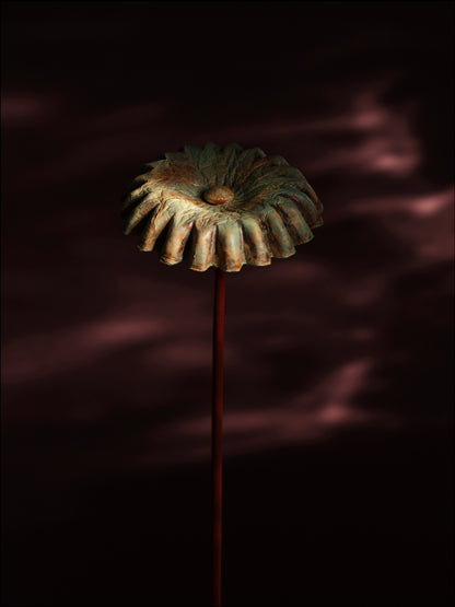 Abstract Daisy - Marsch Green