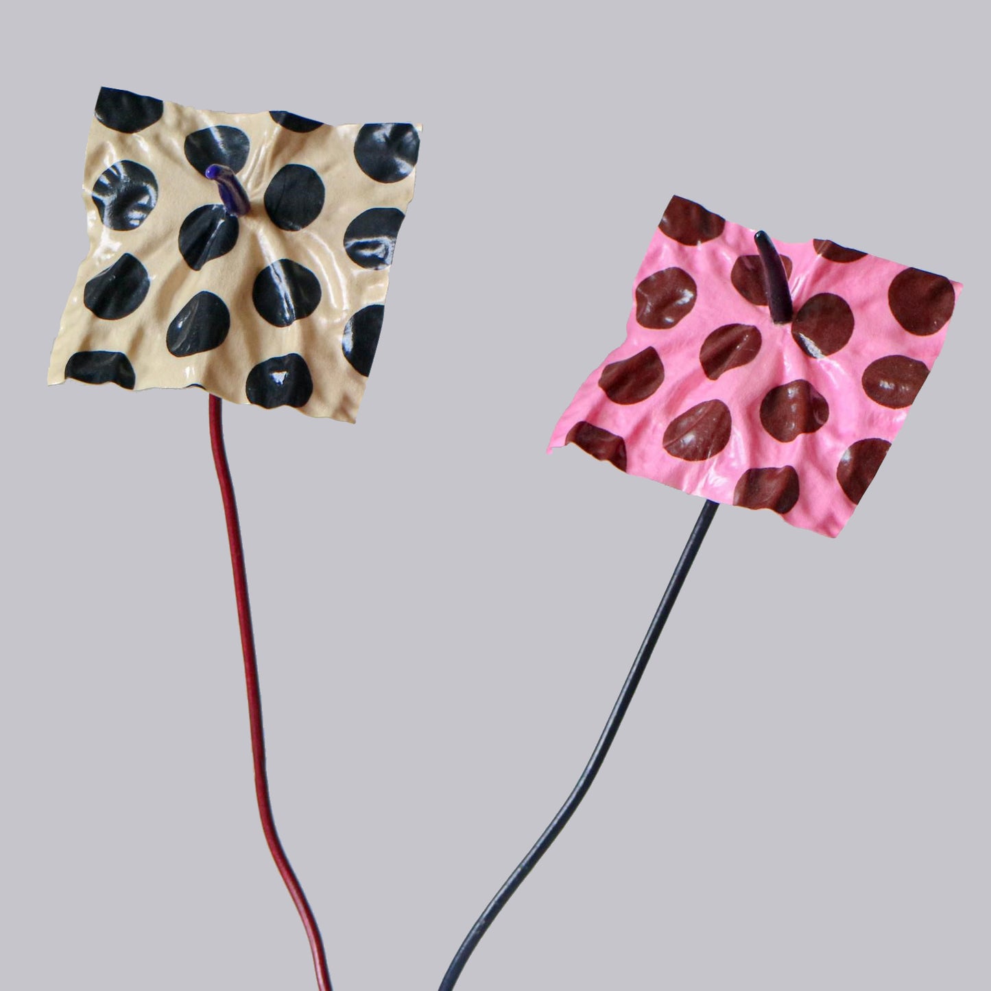 The Blush Dotrium - Limited Edition (Numbered)