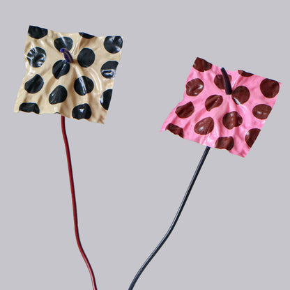 The Blush Dotrium - Limited Edition (Numbered)