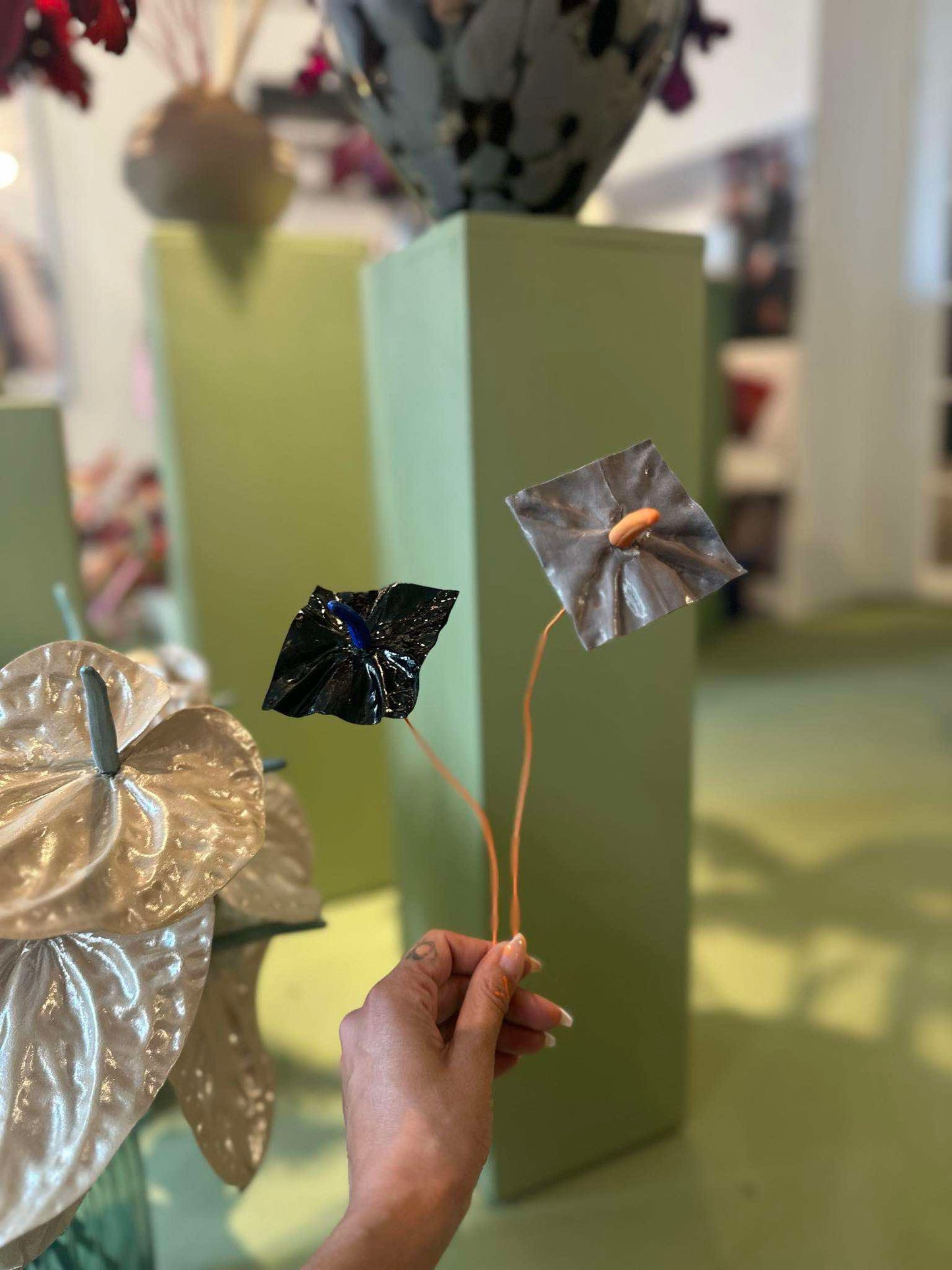 Mini Atrium 2-in-1 Limited Edition