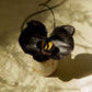 Black Orchid Choker with leather string