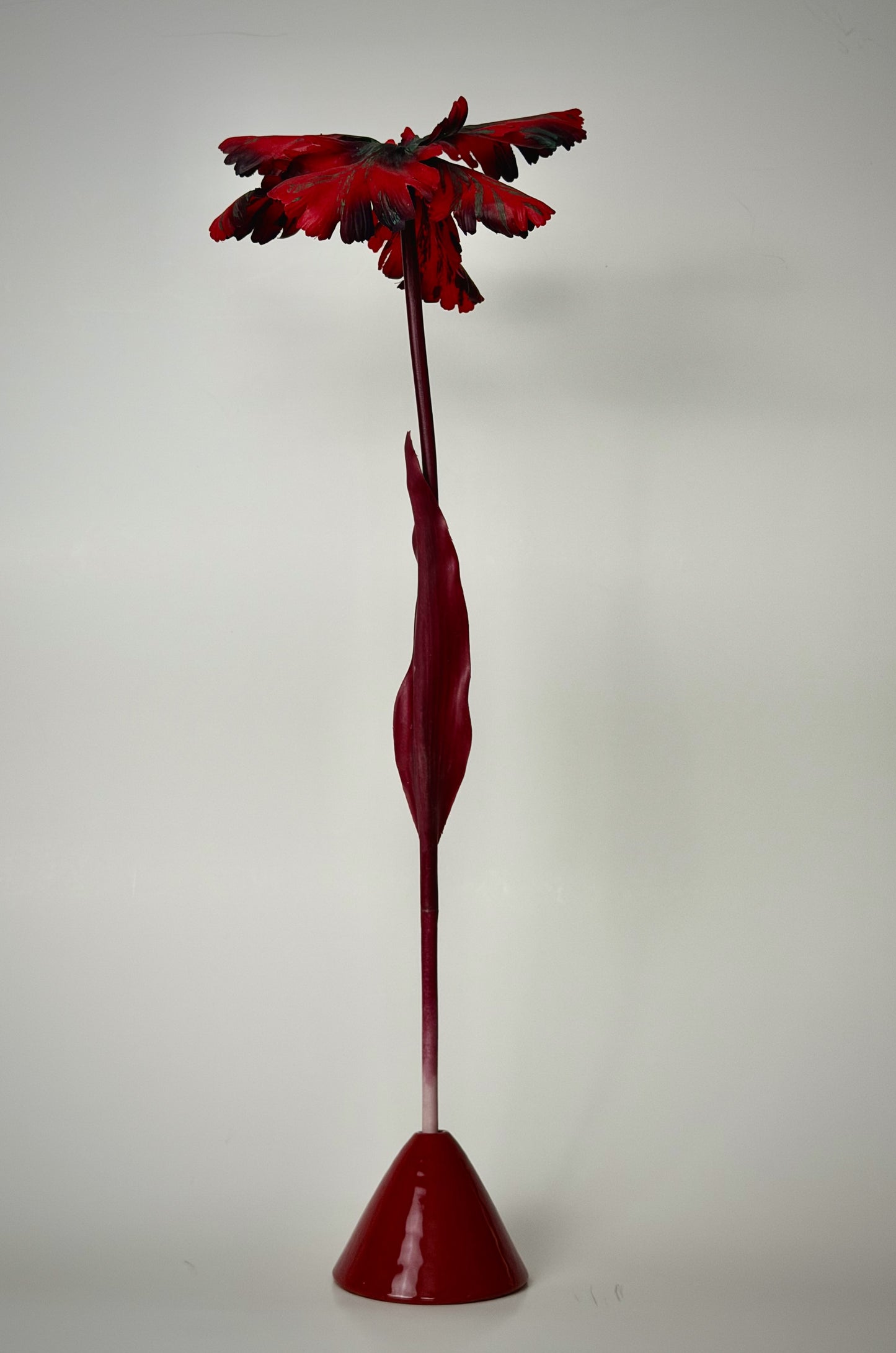 Mothers Day  - APEX Smooth & Ruby Tulip Bell