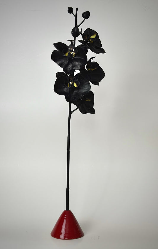Black Orchid Stem MEDIUM