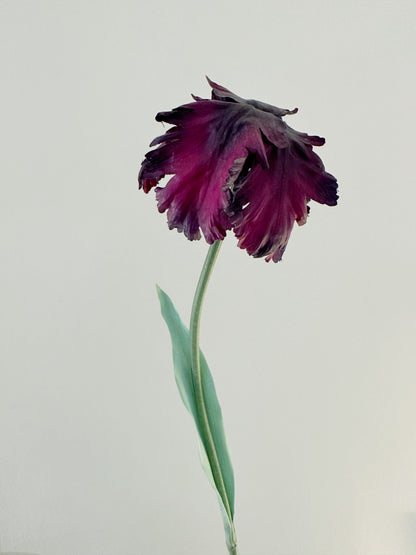 Pistachio Plum Tulip Bell