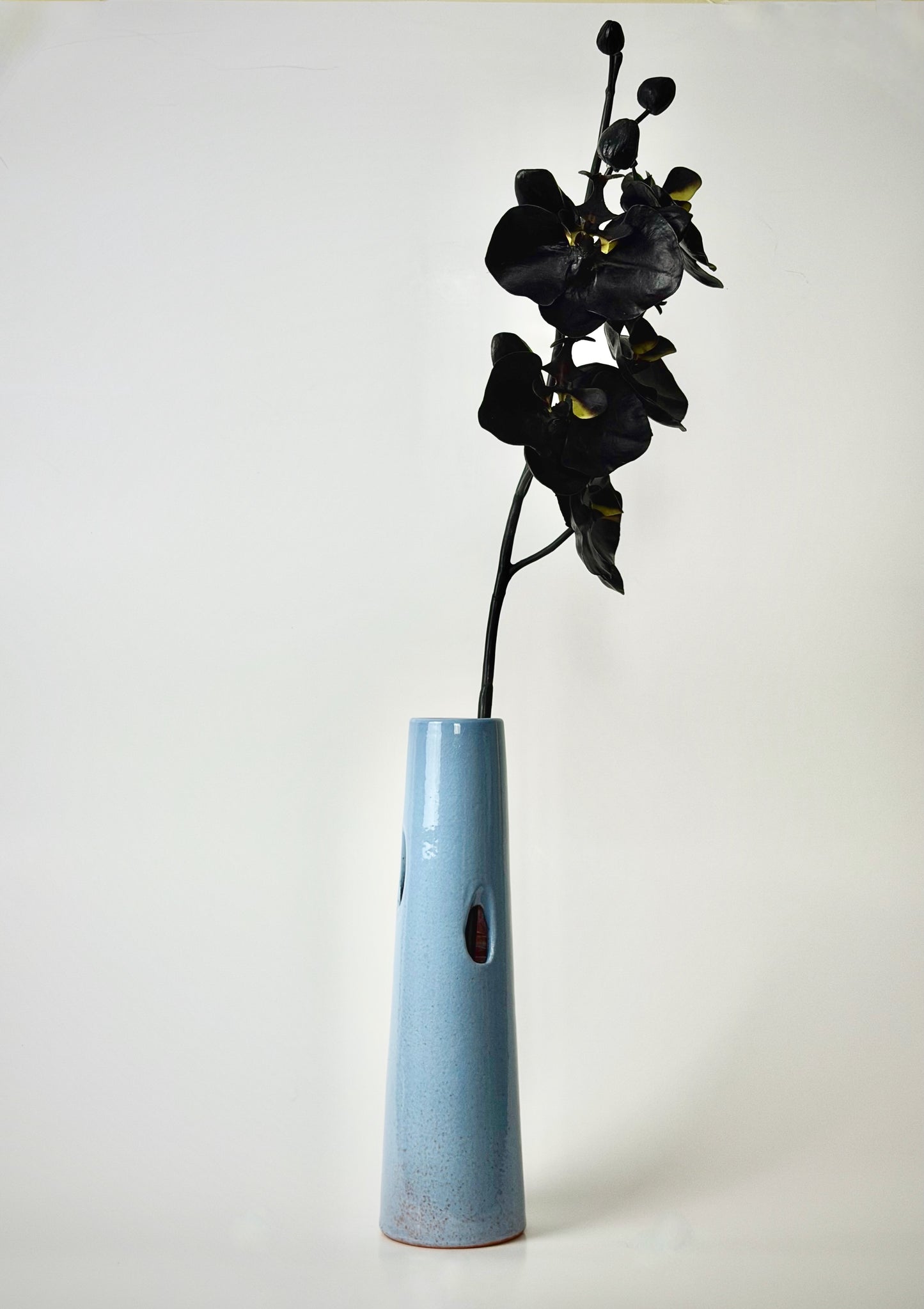 Black Orchid Stem MEDIUM