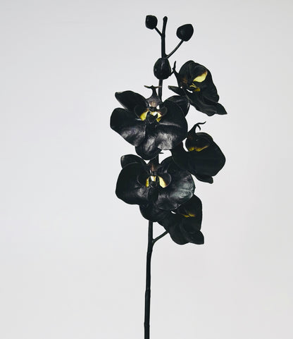 Mothers Day  - APEX Smooth & Orchid Stem