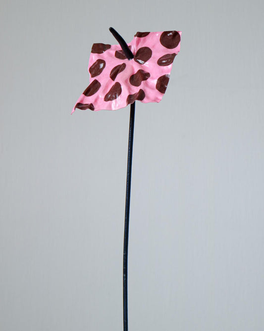 The Blush Dotrium - Limited Edition (Nummereret)