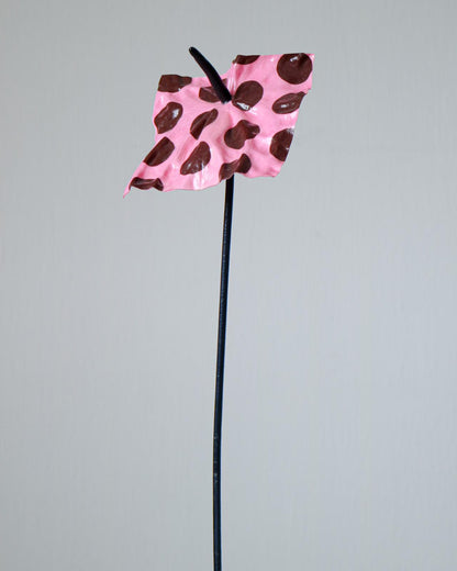 The Blush Dotrium - Limited Edition (Numbered)