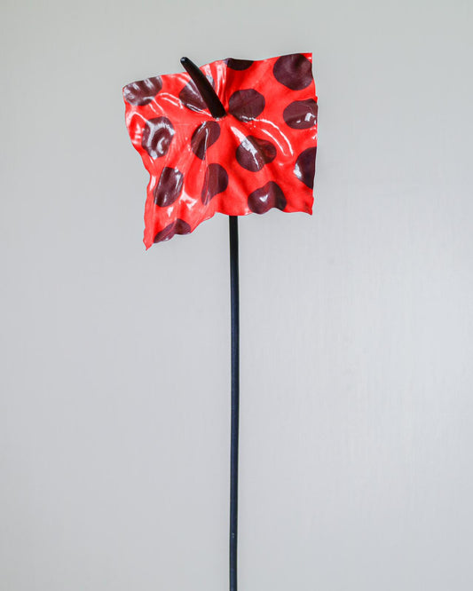 The Tangerine Dotrium - Limited Edition (Nummereret)