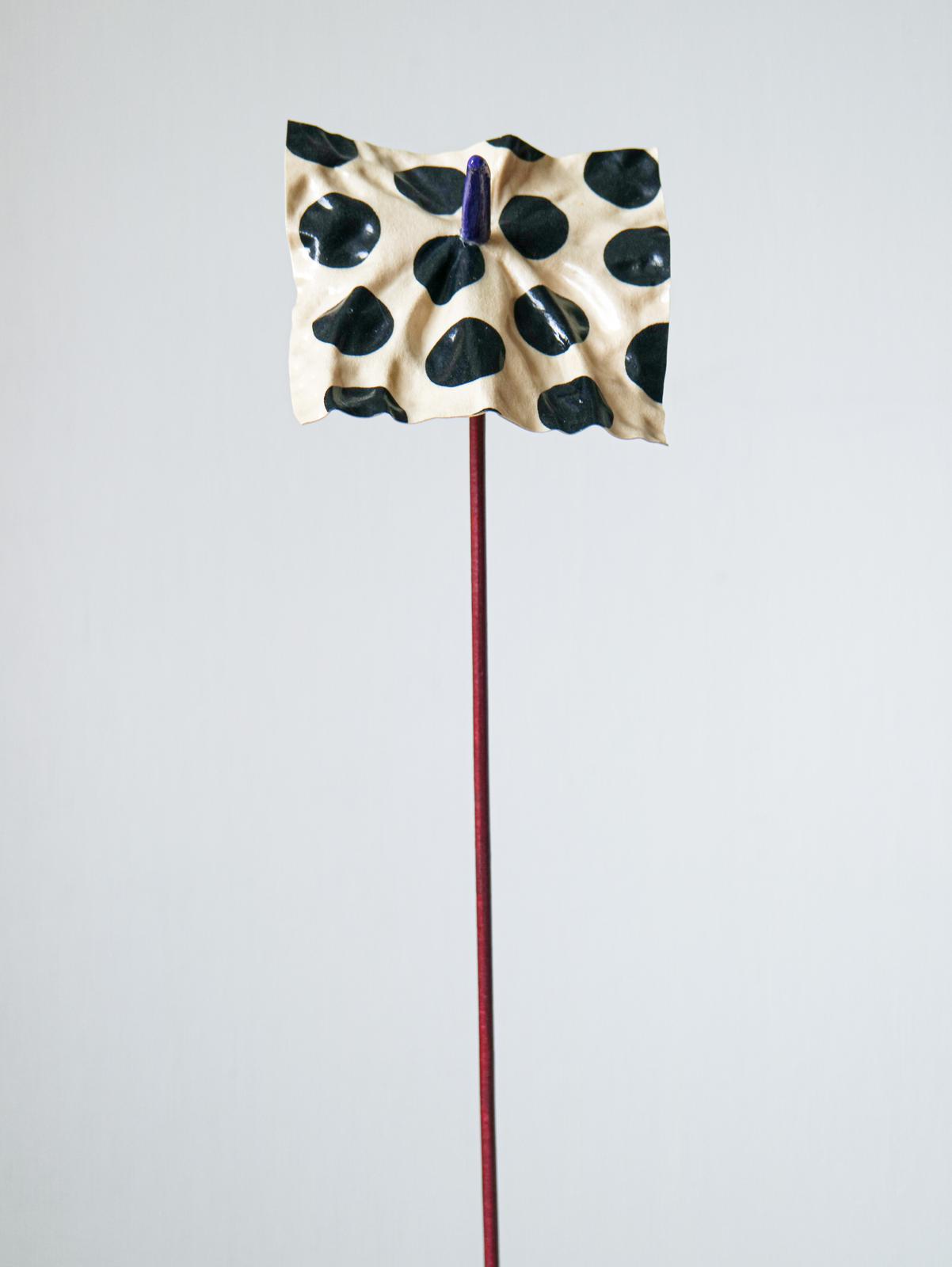 Ivory & Black Dotrium - Limited Edition (Numbered)