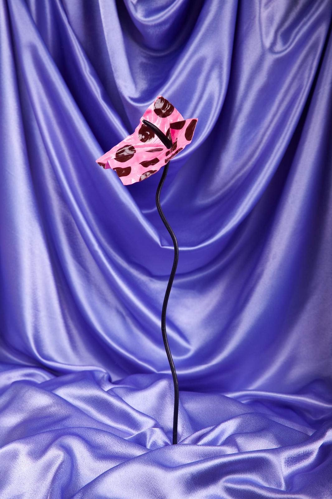 The Blush Dotrium - Limited Edition (Numbered)