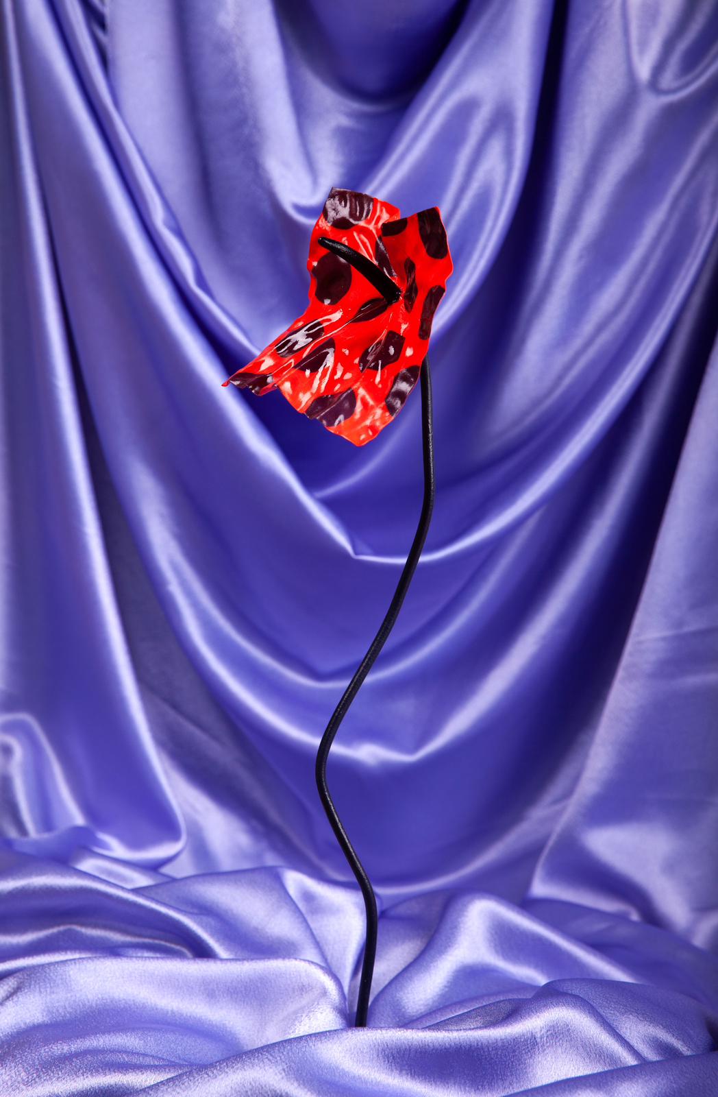 The Tangerine Dotrium - Limited Edition (Numbered)