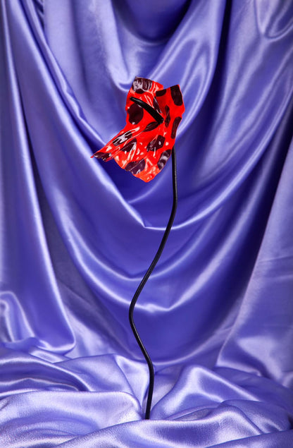 The Tangerine Dotrium - Limited Edition (Numbered)