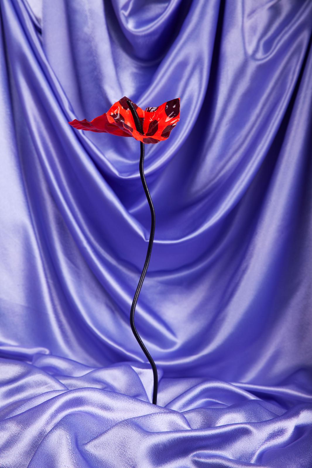 The Tangerine Dotrium - Limited Edition (Numbered)