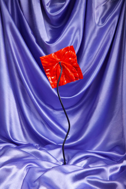 The Tangerine Dotrium - Limited Edition (Numbered)