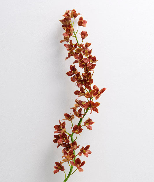 Burning Orchid XL - Sculptural Stem