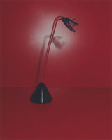 RARE BIRD - Single Stem + APEX