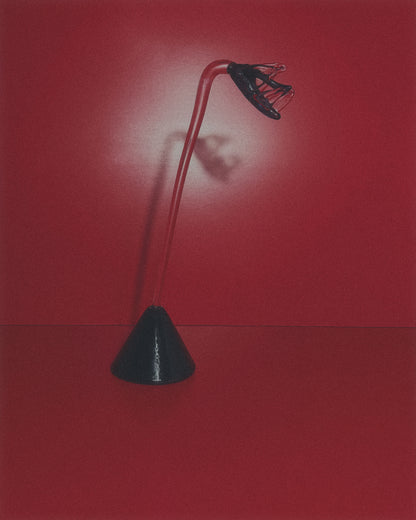 The Rare Bird - Single Flower & APEX Pedestal set