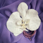 Snow white glitter Orchid Choker with pink leather string  (XL)