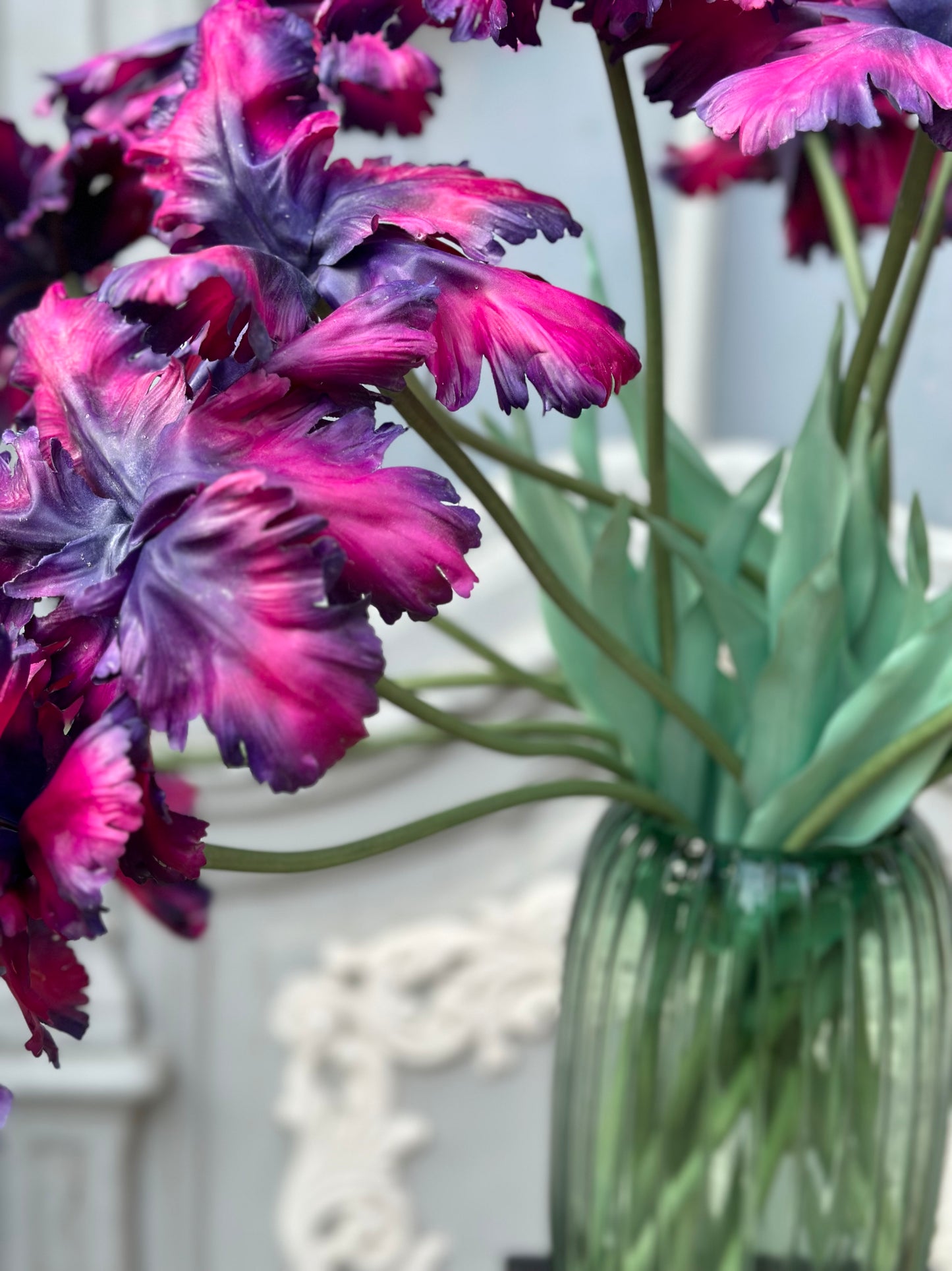 Pistachio Plum Tulip Bell