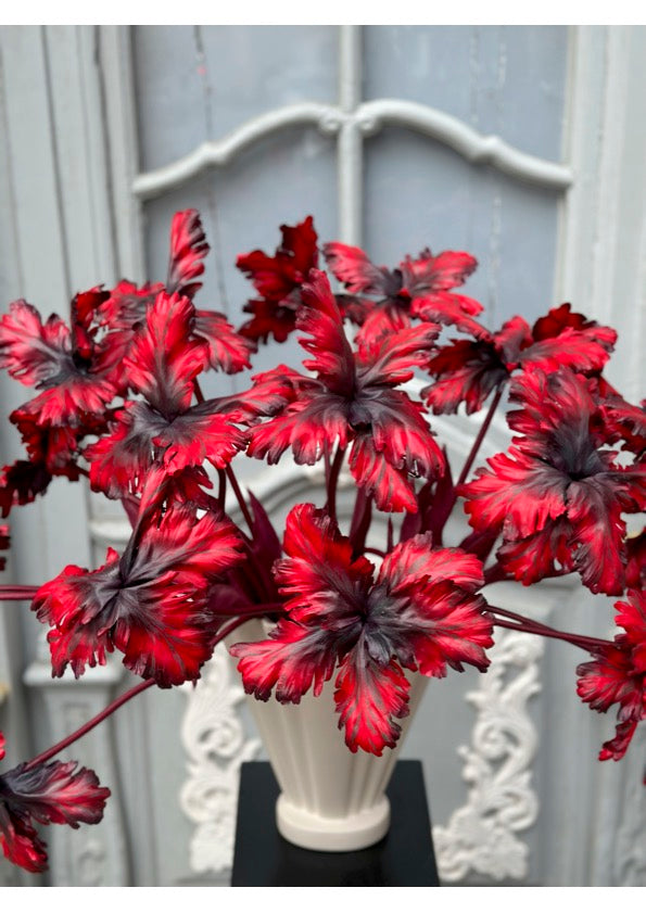 Dark Ruby Tulip Bell