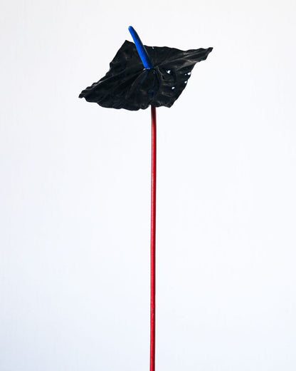 Atrium Black Large