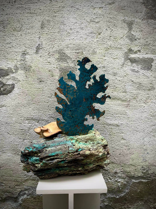 Forrest Copper Lung