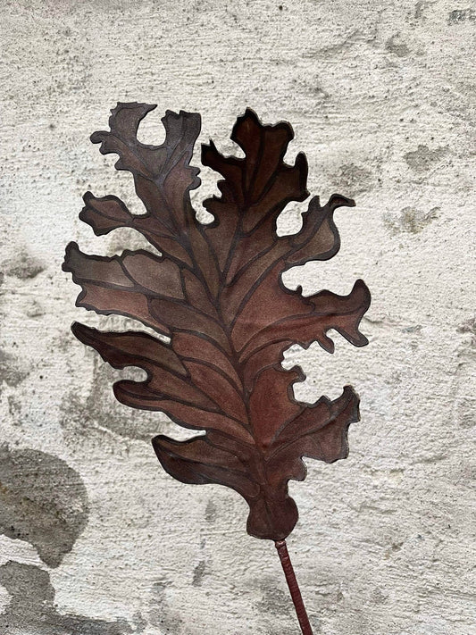The Lung - Leather from trashed sofas