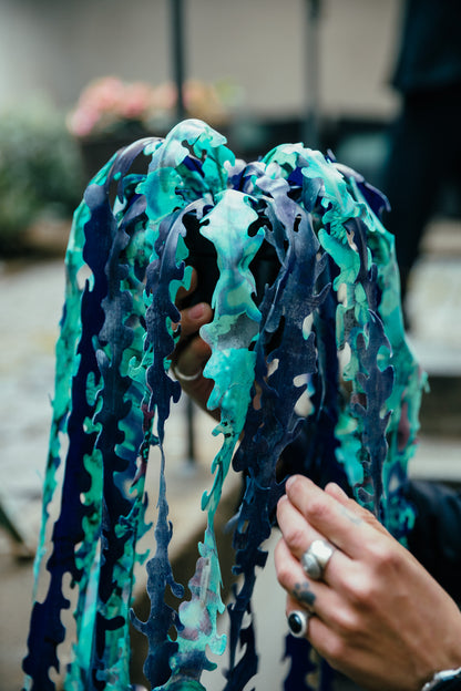 Hanging Seaweed  Plant