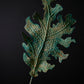 Green Lung Leaf