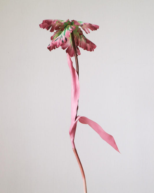 Tulip Bell, Dusty Pink & Green