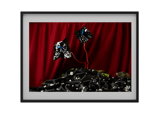 Art Print Cenon At Mav - 05