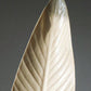 Ivory Feather Dawn - stort blad