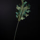 Green Lung Leaf