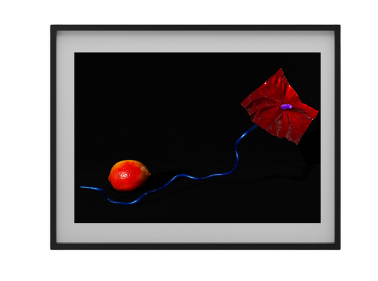 Art Print Cenon At Mav - 02